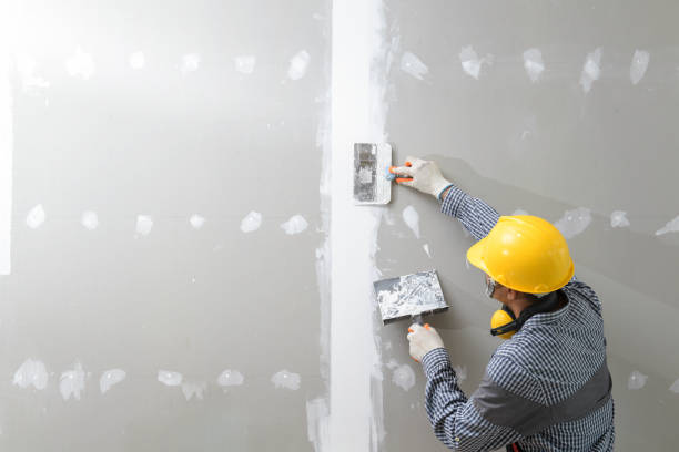  , USA Mold Removal Pros